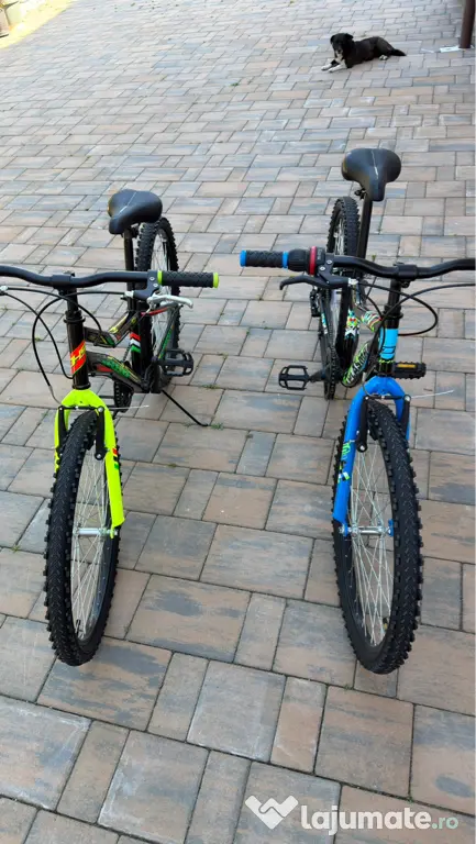 Biciclete DHS 24