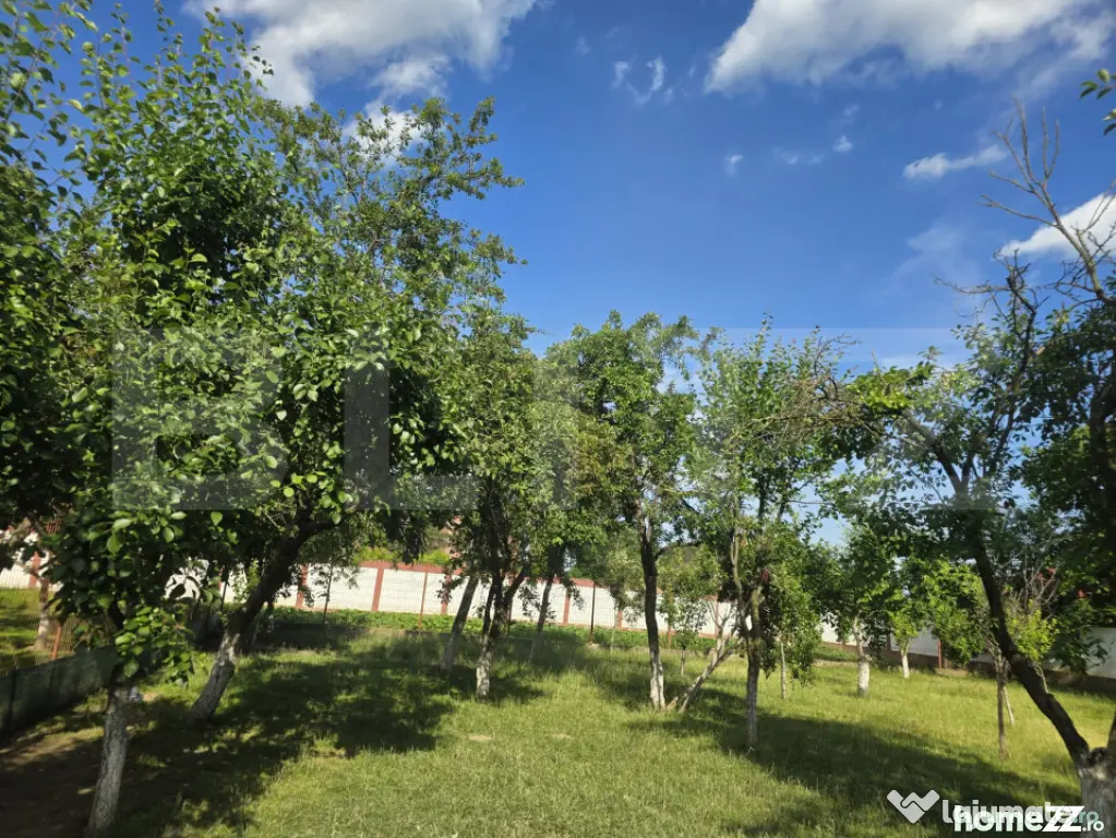 Teren intravilan de 1.227 mp, împrejmuit, în Titu
