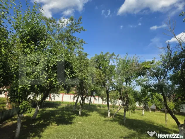 Teren intravilan de 1.227 mp, împrejmuit, în Titu