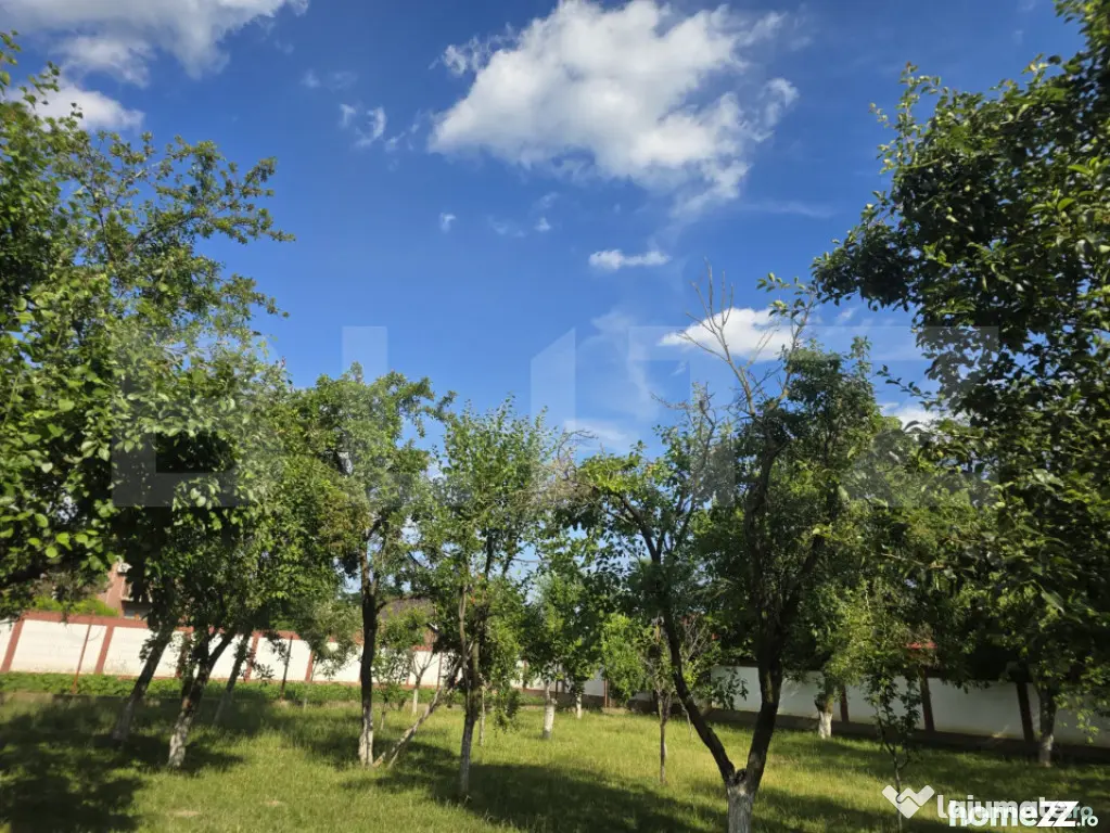 Teren intravilan de 1.227 mp, împrejmuit, în Titu