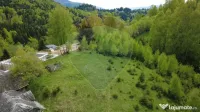 Teren 3,821mp Dambovicioara 