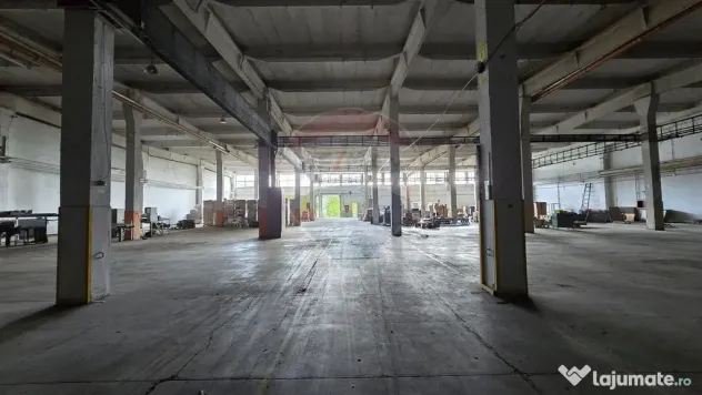 DE VANZARE spatiu industrial 6600mp | Buftea