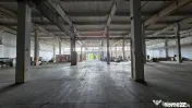 DE VANZARE spatiu industrial 6600mp | Buftea 