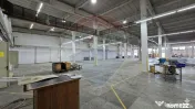 DE VANZARE spatiu industrial 6600mp | Buftea 