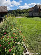 CASA DEOSEBITA IN VAMA BUZAULUI, 800 MP, PRET 151,000 EURO 