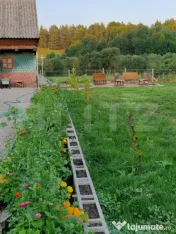 CASA DEOSEBITA IN VAMA BUZAULUI, 800 MP, PRET 151,000 EURO 