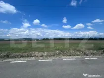 Teren 5000 mp - zona Dealul Targului