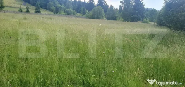 Teren 3312 mp, partial intravilan, zona Vatra Dornei