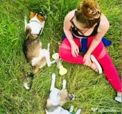 Pet sitter Oradea / Salonta / Sarkad x Ingrijitor Animale x Cazare x Dresaj