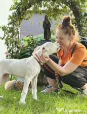 Pet sitter Oradea / Salonta / Sarkad x Ingrijitor Animale x Cazare x Dresaj
