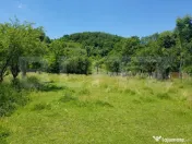???? Teren intravilan – 3 loturi cu deschidere generoasă 