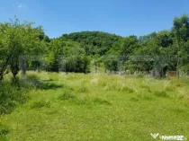 Teren intravilan, 2966 mp – 3 loturi cu deschidere la DN72