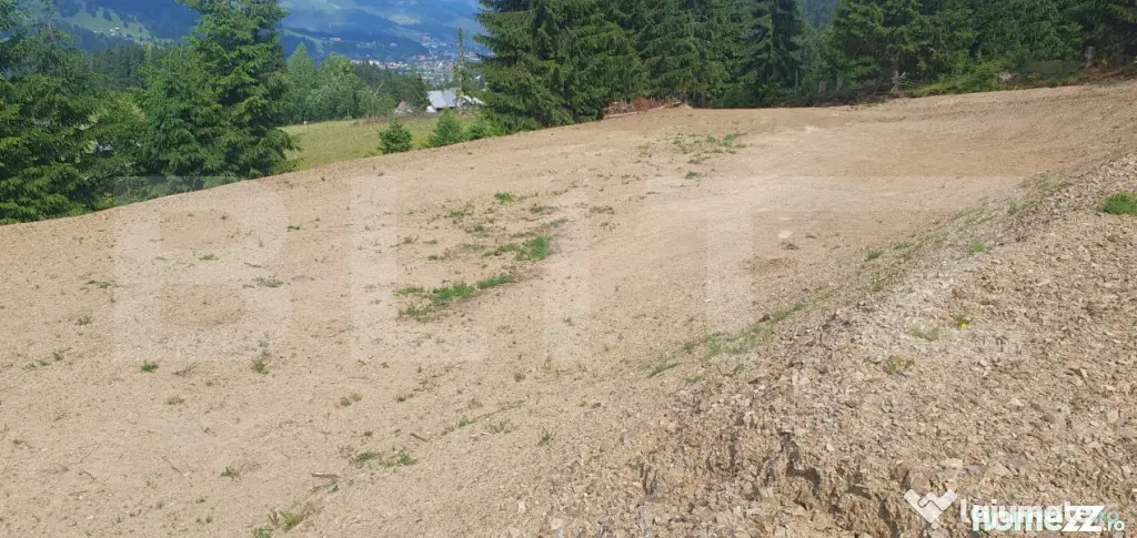 Teren 18.933 mp, parcelabil, zona Vatra Dornei