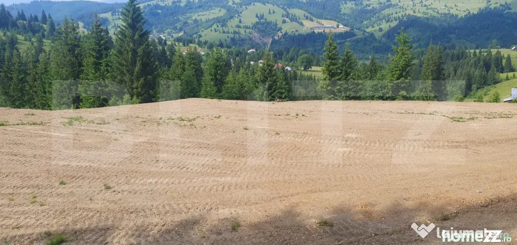 Teren 18.933 mp, parcelabil, zona Vatra Dornei