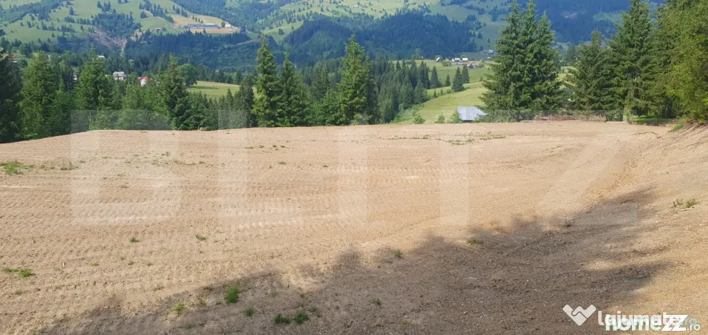 Teren 18.933 mp, parcelabil, zona Vatra Dornei
