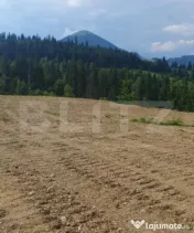 Teren 18.933 mp, parcelabil, zona Vatra Dornei