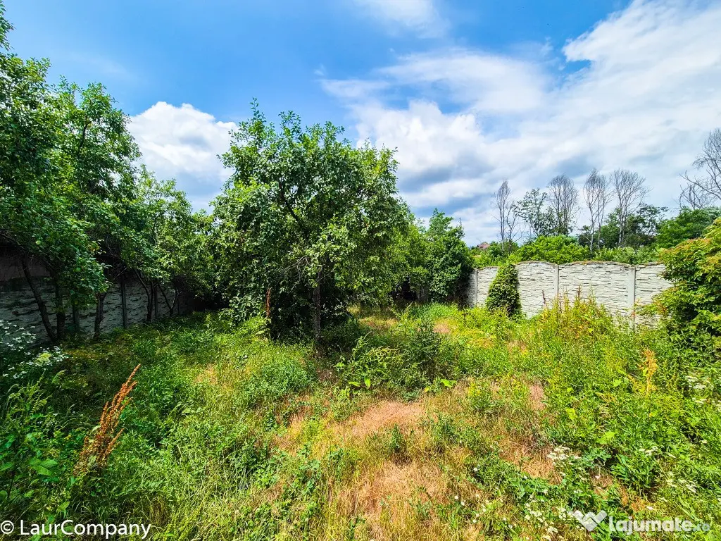 Casa P+M Colibasi Mioveni Arges