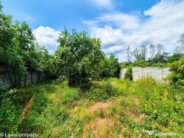 Casa P+M Colibasi Mioveni Arges