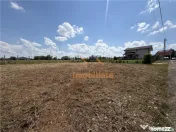TEREN INTRAVILAN 800 MP | ZONA PALEU | BIHOR 
