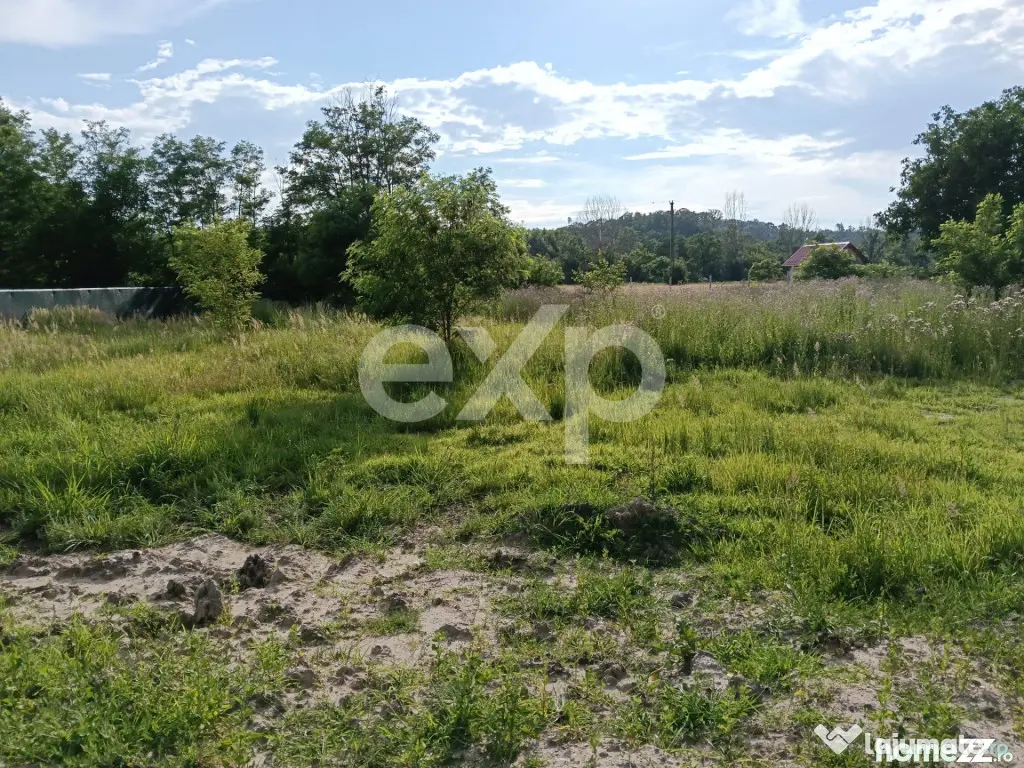TEREN INTRAVILAN 712 MP | 17 ML DESCHIDERE | UTILITĂȚI | A - Costesti (Arges)