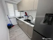 Apartament de inchiriat, 2 camere, parter, 50 mp, Craiovita 