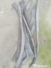 extensii - spoiler sub bara Opel Astra G 