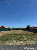 2 Terenuri- MOSNITA NOUA- Toate utilitatile