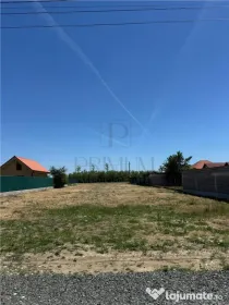 2 Terenuri- MOSNITA NOUA- Toate utilitatile