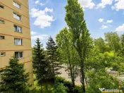 Etaj intermediar, structura particulara, zona placuta, Griv 