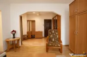 Etaj intermediar, structura particulara, zona placuta, Griv 