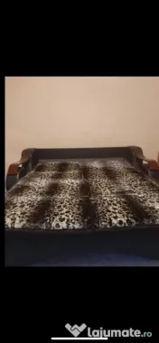 Iancului muncii parter maior coravu 