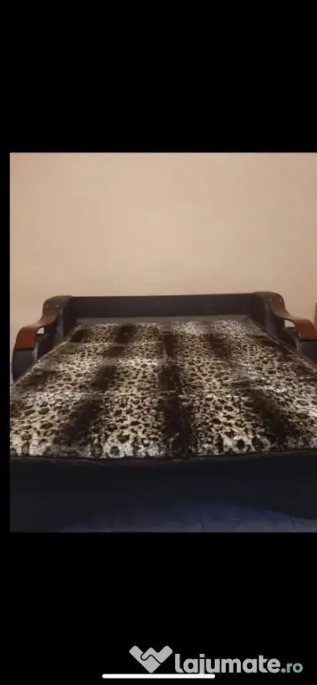 Iancului muncii parter maior coravu