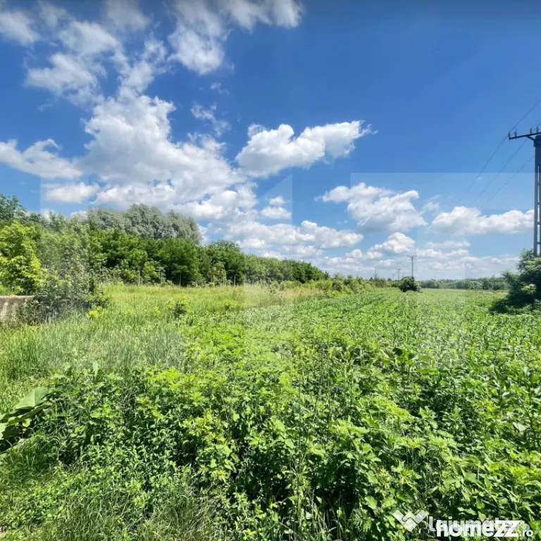 Teren 9.300 mp pentru investiție, Dorohoi, lângă viitoare - Dorohoi (Botosani)