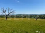 Teren de vanzare in Adancata, 4500mp