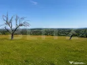 Teren de vanzare in Adancata, 4500mp 