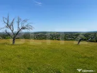 Teren de vanzare in Adancata, 4500mp 