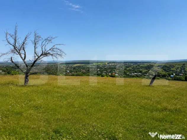 Teren de vanzare in Adancata, 4500 mp - Suceava (Suceava)
