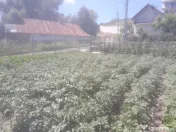 Casa pe parter Zona Bosanci 