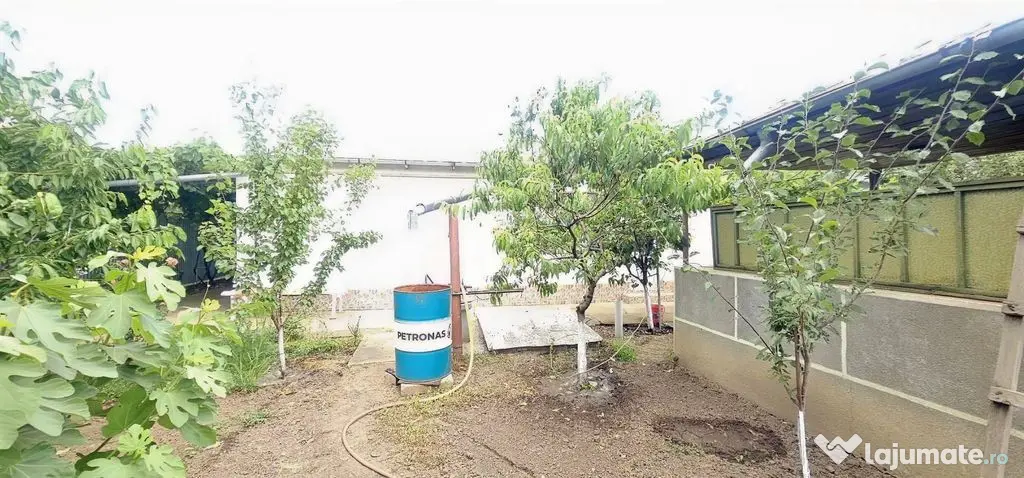 Casa la sol cu teren 1055 mp si livada - Vanatori, Galati