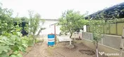 Casa la sol cu teren 1055 mp si livada - Vanatori, Galati