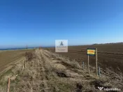 Teren intravilan 47.400 mp, Vama Veche, 200 m de Marea Neag