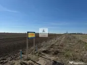 Teren intravilan 47.400 mp, Vama Veche, 200 m de Marea Neag