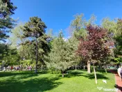 Tineretului parc| 2 Camere | Pet friendly |Disponibil imedia 
