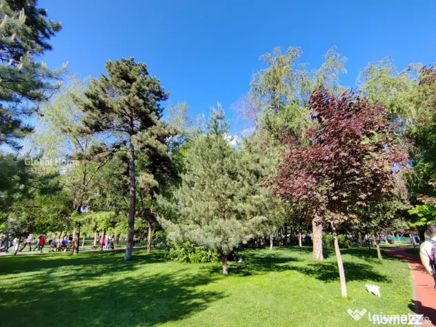Tineretului parc| 2 Camere | Pet friendly |Disponibil imedia