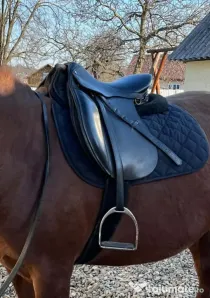 Vând șa de calarie