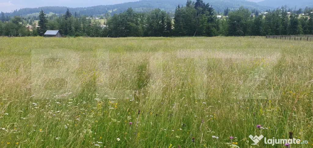Teren 10.000 mp, intravilan, zona Neagra Sarului