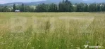 Teren 10.000 mp, intravilan, zona Neagra Sarului