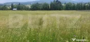 Teren 10.000 mp, intravilan, zona Neagra Sarului 