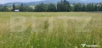 Teren 10.000 mp, intravilan, zona Neagra Sarului
