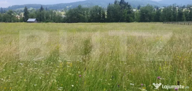 Teren 10.000 mp, intravilan, zona Neagra Sarului